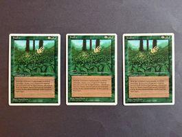 3x Kudzu // Foreign White Bordered // Magic
