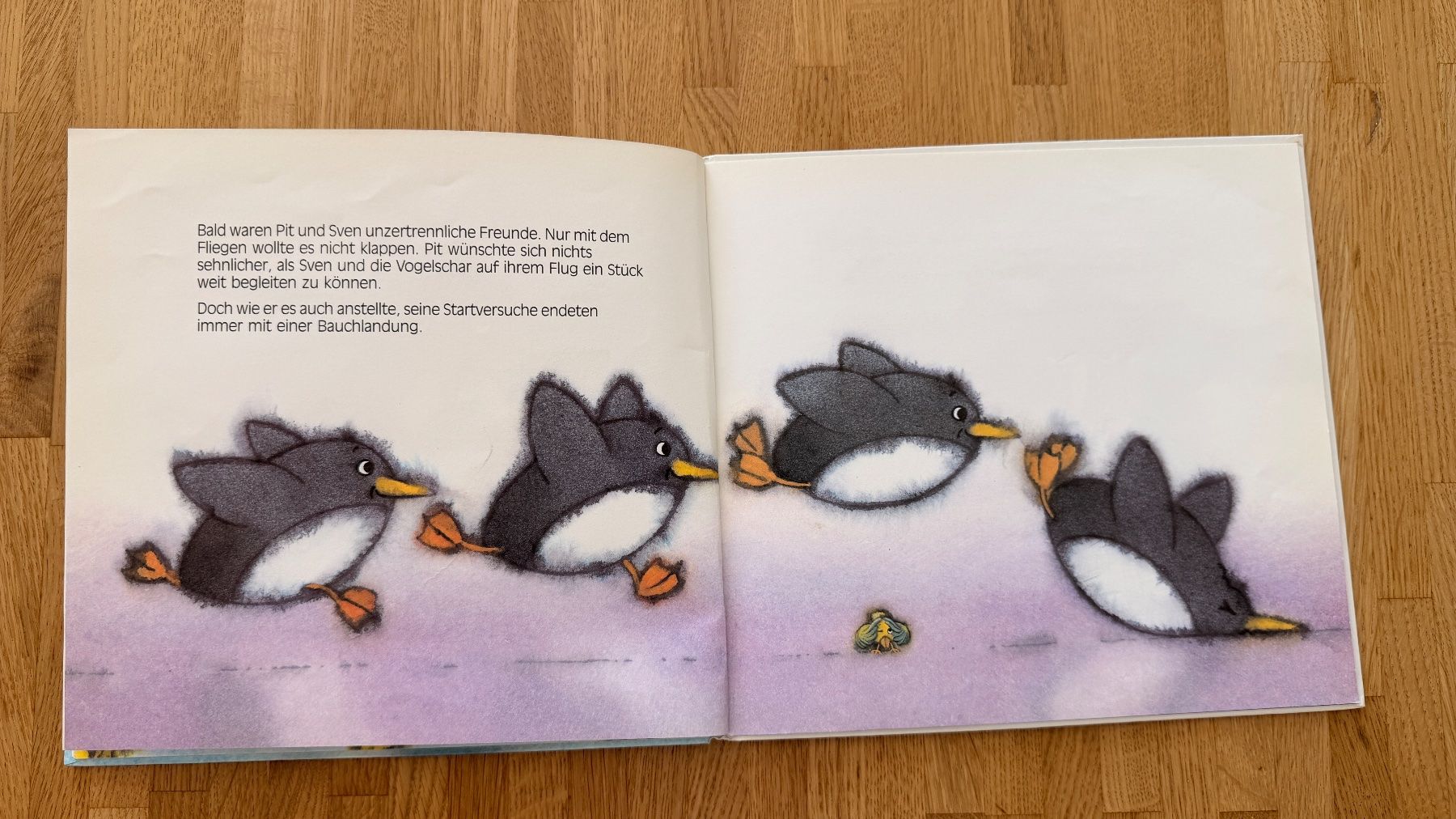 Libri: Buch - Pinguin Pit – Usato da Winterthur venduto da Secondhand-Family 7