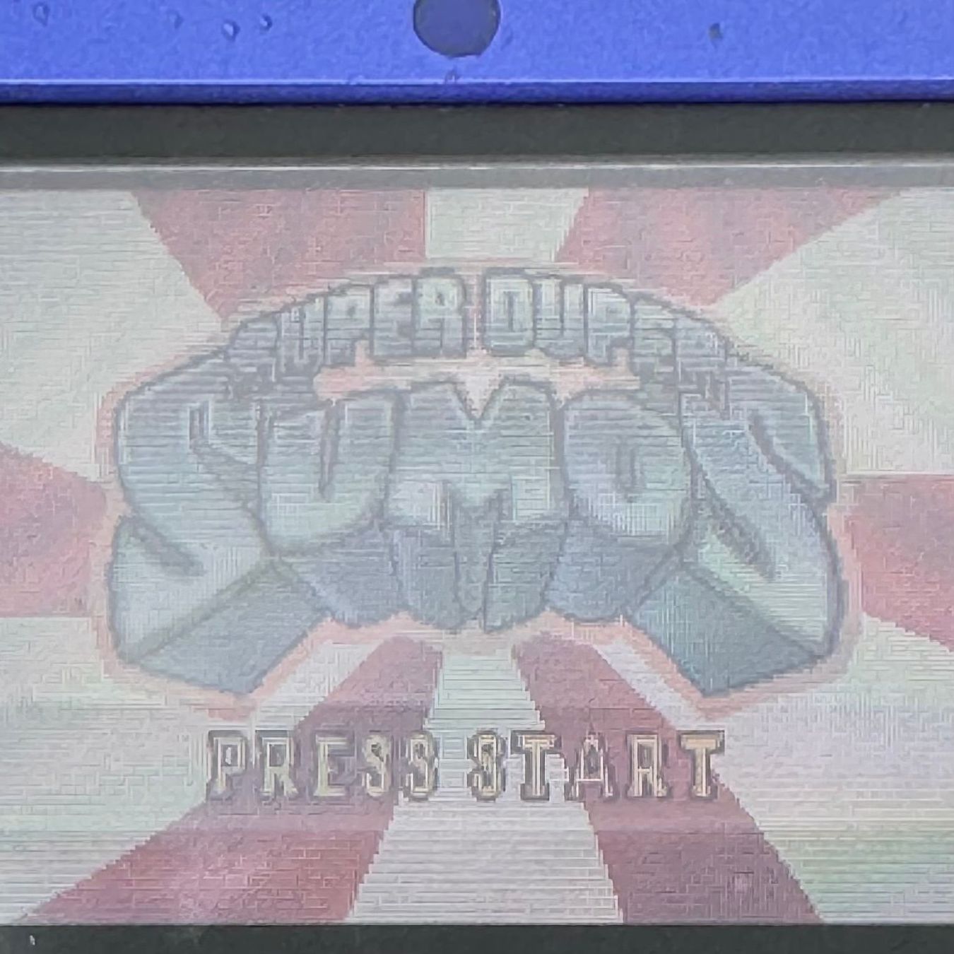 Giochi: Super Duper Sumos (Gameboy Advance) – Usato da Herisau venduto da Seyashop1