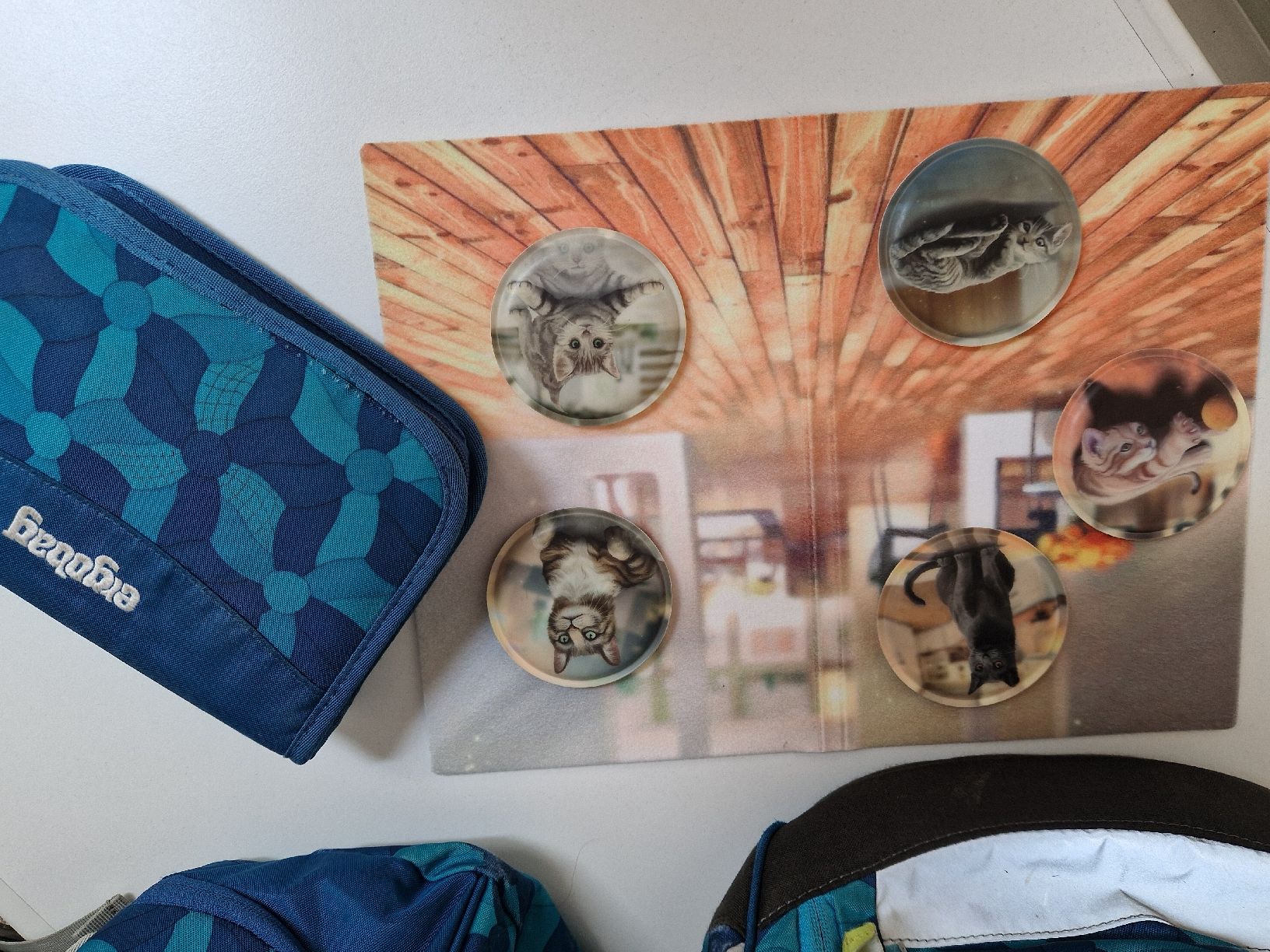 Zaini: Ergobag mit Turntasche Etui und Kletties – Usato da Steinen venduto da Pesce72 1