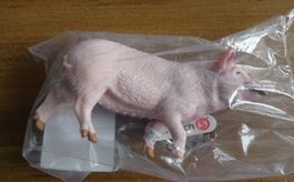 Schwein von Schleich