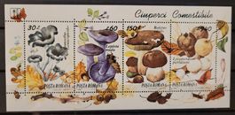 POSTA ROMANA – PILZE/CHAMPIGNONS – 2 MINI SHEETS
