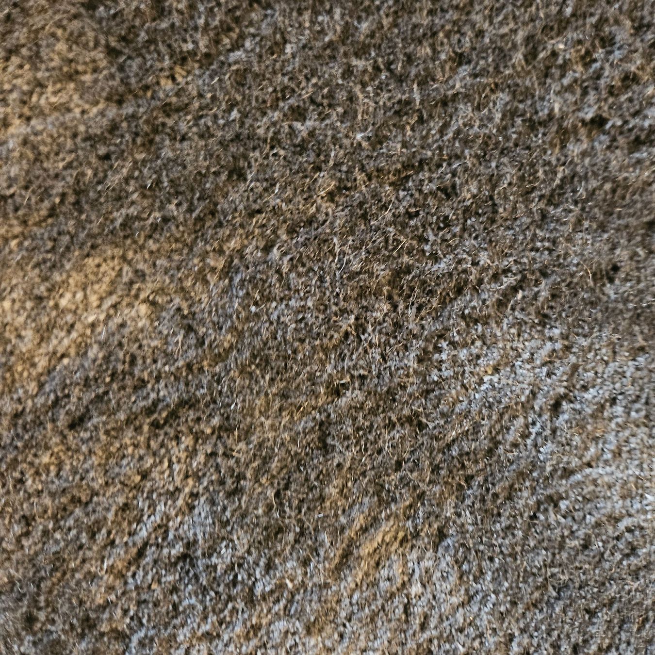Tappeti: Longbarn Teppich Ripe low – Usato da Hitzkirch venduto da seetal6666 1