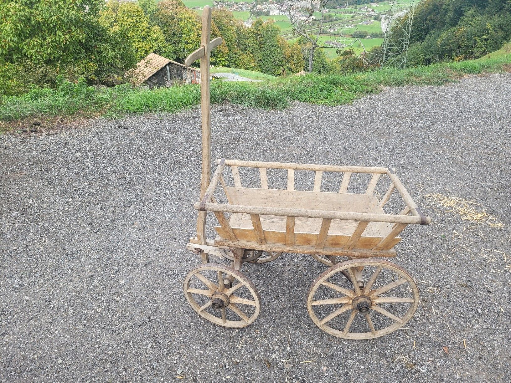 Tutte le decorazioni: Alter  Leiterwagen – Usato da Brienz BE venduto da Hundechef 4