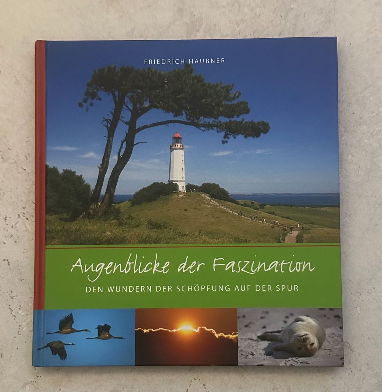 Bücher: Jugendbuch – Gebraucht aus Zürich von Mumpfi9