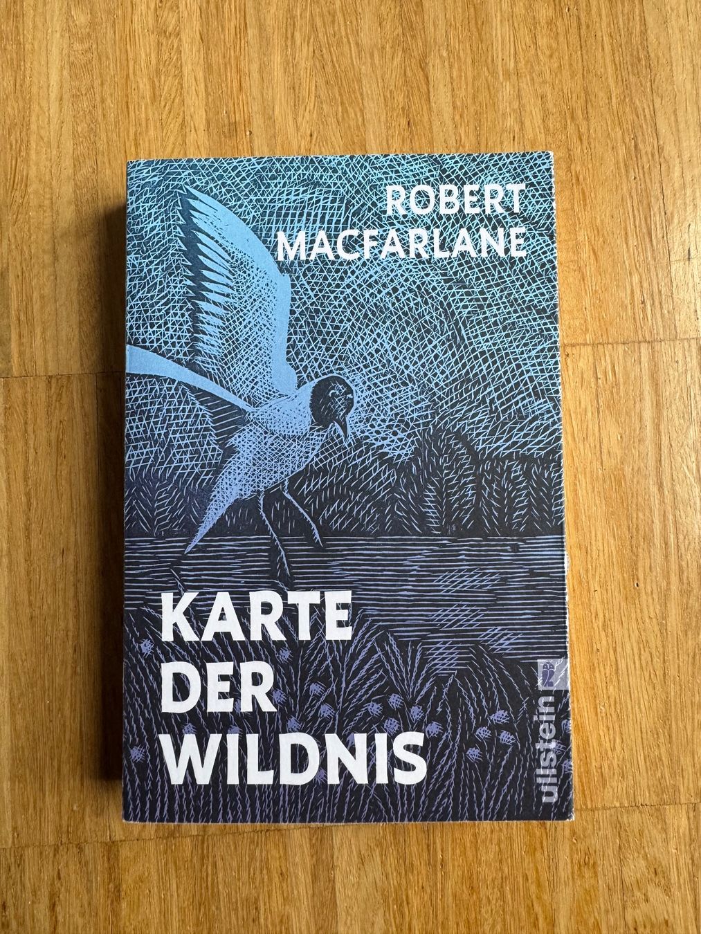 Libri: Reisebücher Set,  Bücherpaket, Lesebücher – Usato da Zürich venduto da mikedome 8