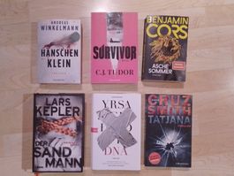 Buchpaket Thriller/ Krimi - Diverse Autoren -6 Stück