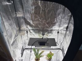 Grow Zelt Indoor