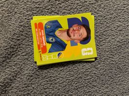 Panini Sticker BIH 10,   Bosnien WM 2026