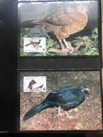 Nicaragua 1994 Satz WWF Schluchtenguan Maximumkarten
