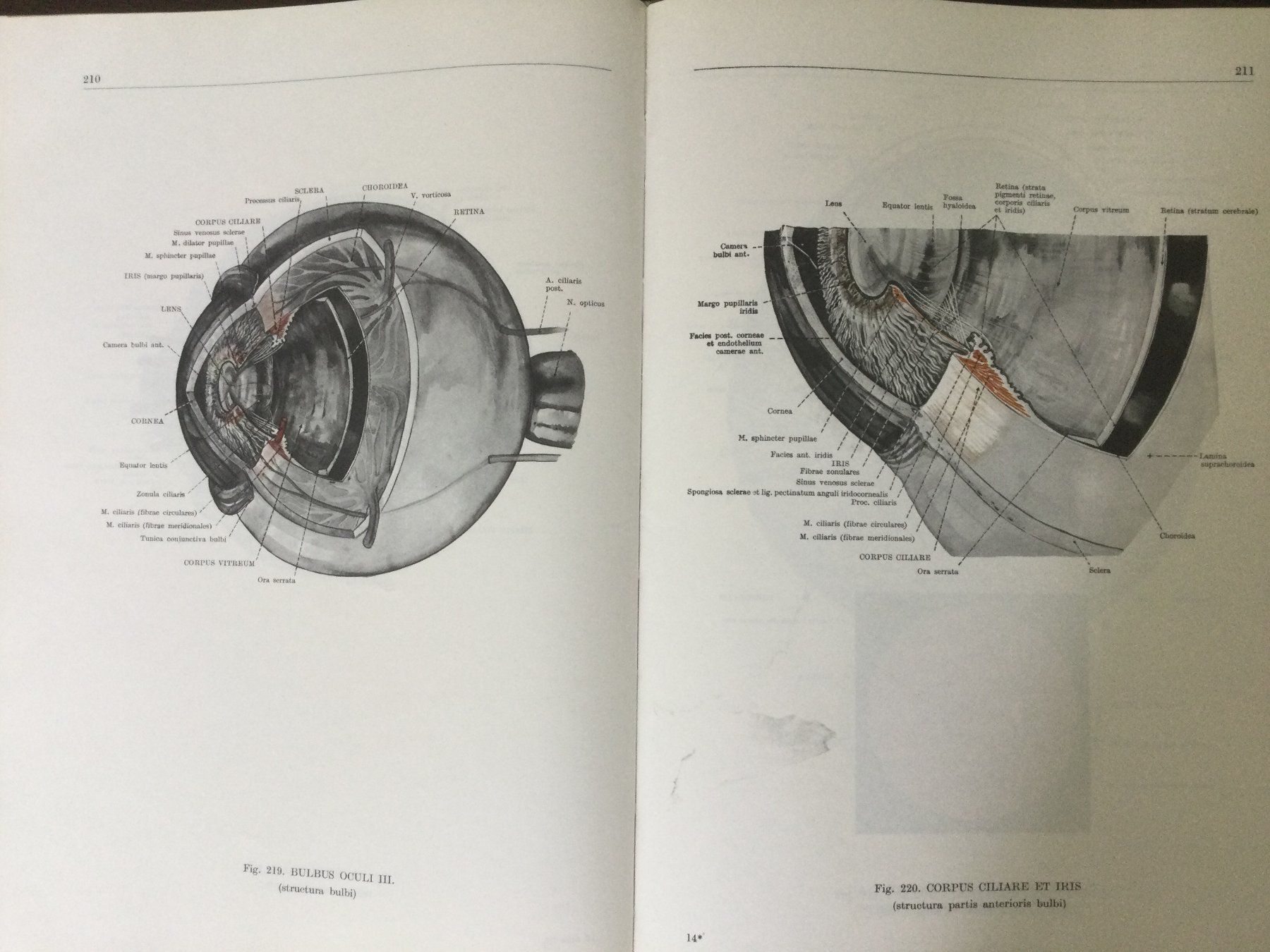 Bücher: Anatomischer Atlas des Menschen, 3 Bände – Gebraucht aus St. Gallen von Lila_238 9