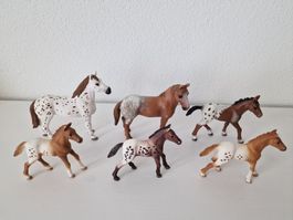 Schleich Appaloosa Pferde/Fohlen