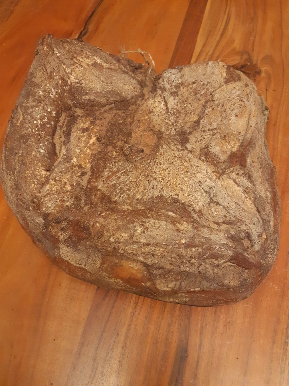 Cibi & Specialità: Schinkenspeck aus dem Südtirol – Nuovo e nell'imballaggio originale da Hunzenschwil venduto da Tramex1958 3