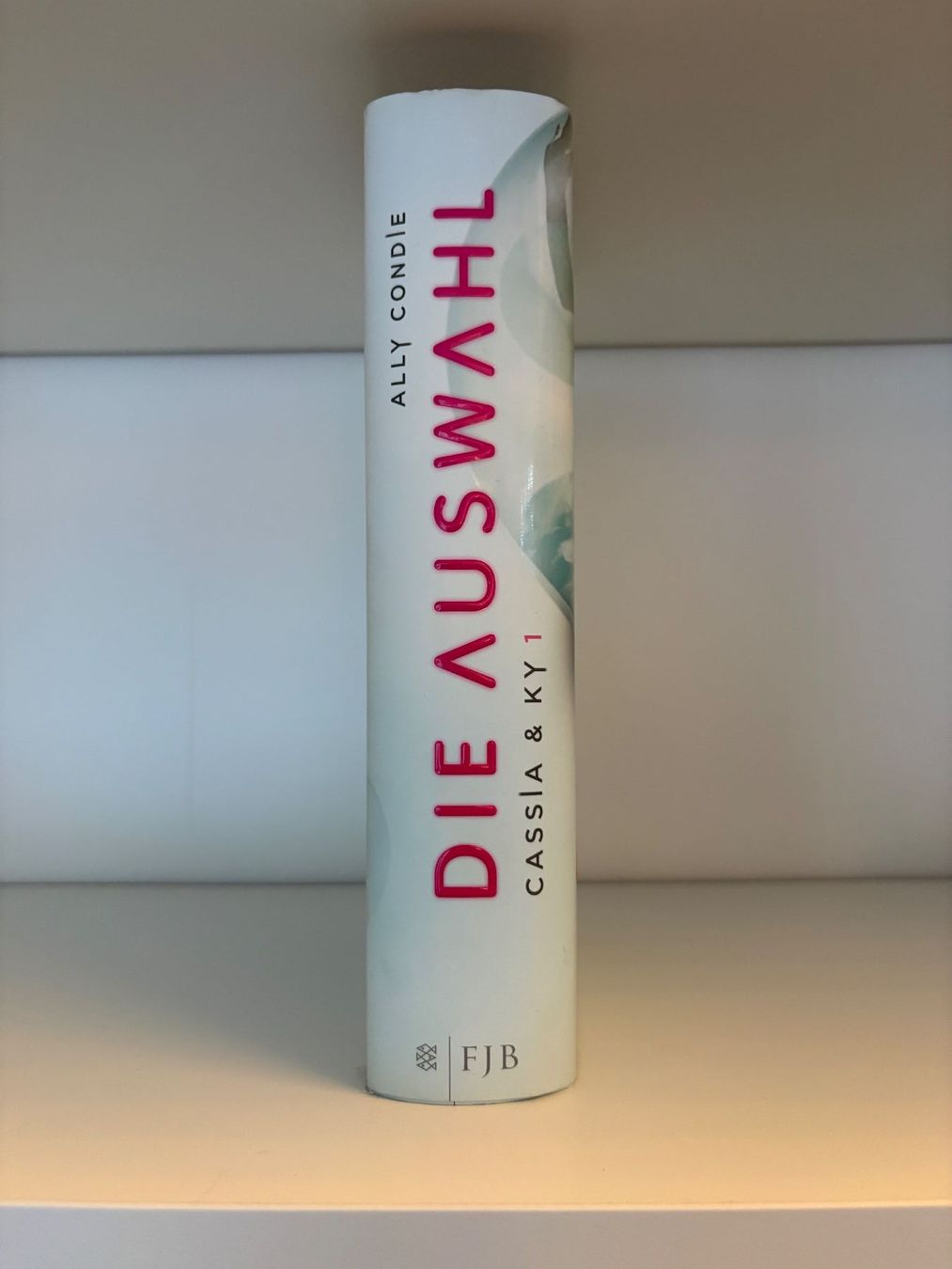 Libri: Die Auswahl - Ally Condie – Usato da Steffisburg venduto da elsa.catalina 2