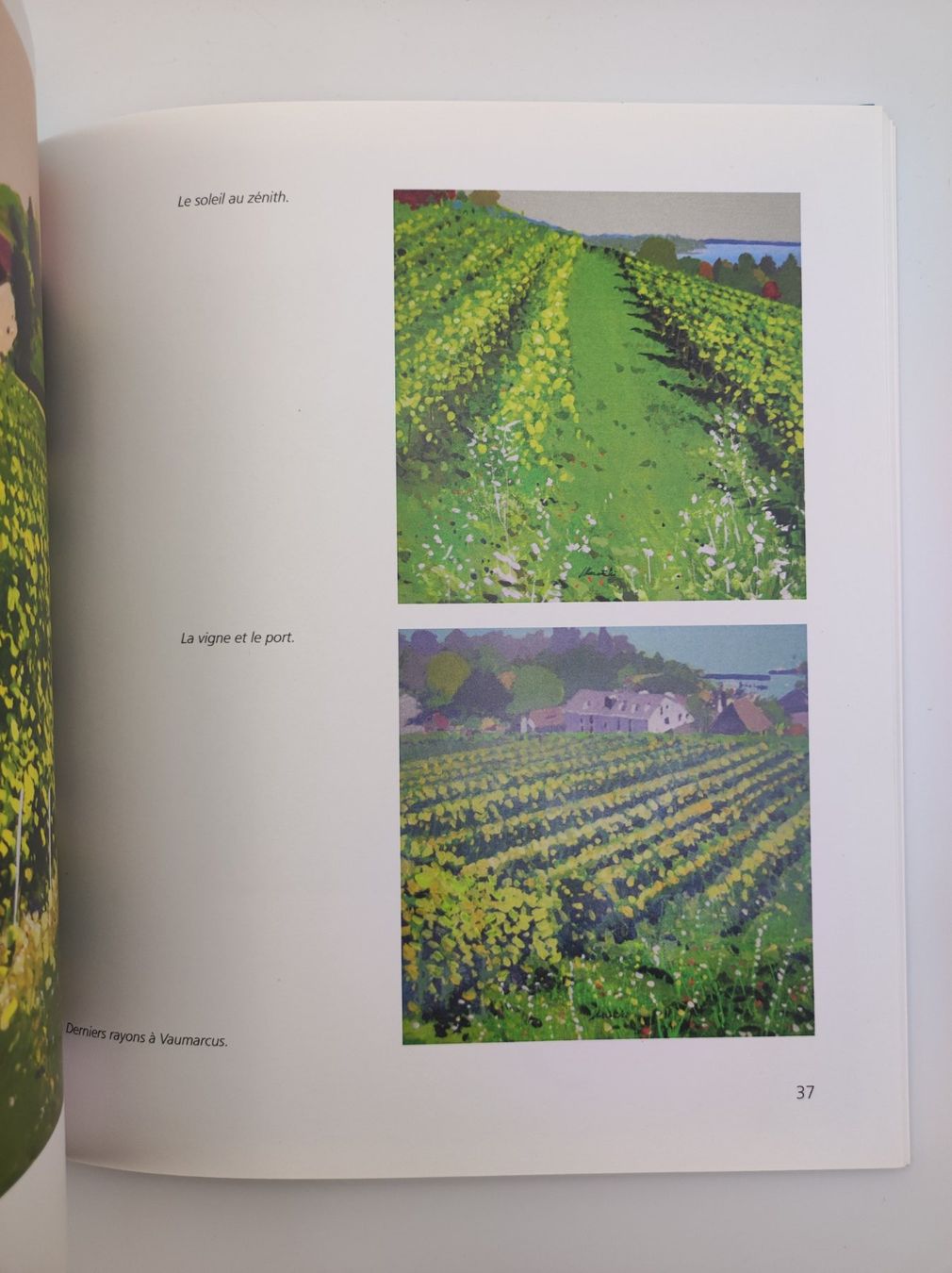 Libri: WEIN - PATRICE ALLANFRANCHINI – Usato da Goldach venduto da Gaip 2