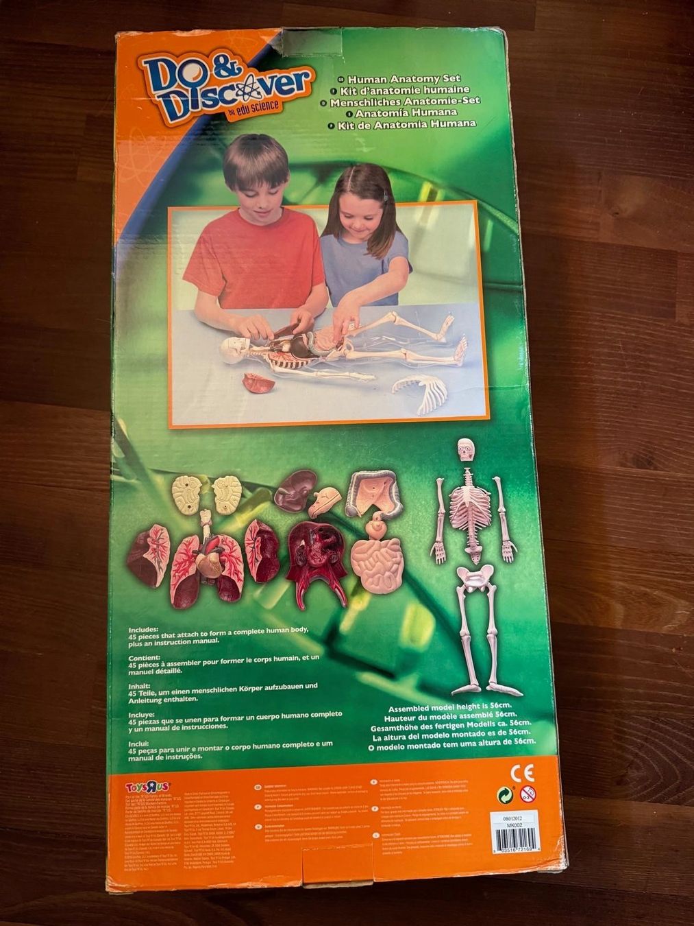 Giocattoli: Do&Discover Anatomie Mensch Modell 45 Teile Originalverpackt – Nuovo (secondo la descrizione) da Staufen venduto da MARINTSUM 1