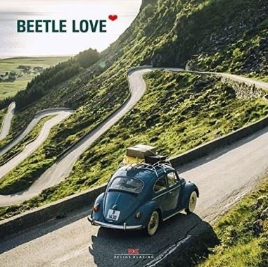 Libri: Beetle Love – Nuovo (secondo la descrizione) da Tübach venduto da BonnevilleMotors