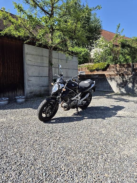 Strasse: Suzuki SFV 650 Gladius ABS – Gebraucht aus Seengen von sve_nh9c 1