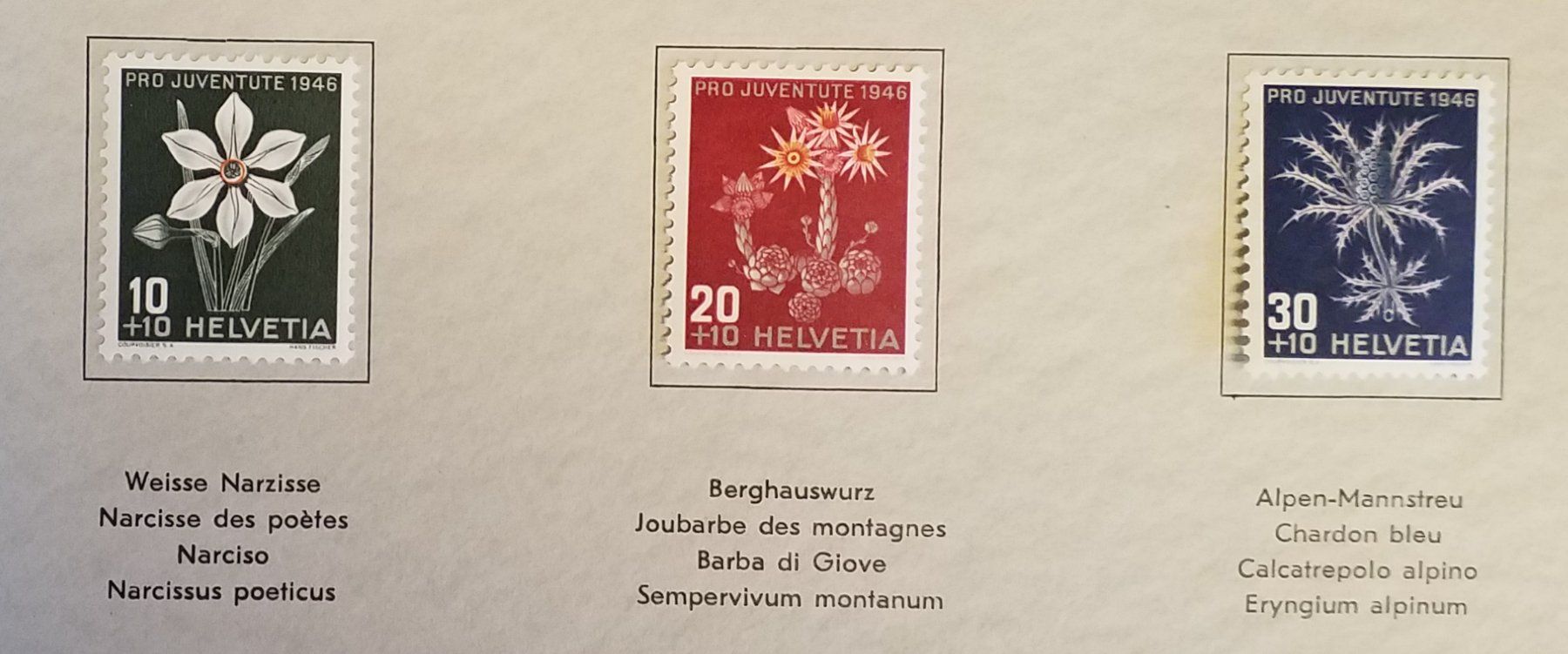 Alle Briefmarken: 1949, Geschenkheft Pro Juventute Bergblumen Kt. Lp – Neu (gemäss Beschreibung) aus Baden von Eggi 4
