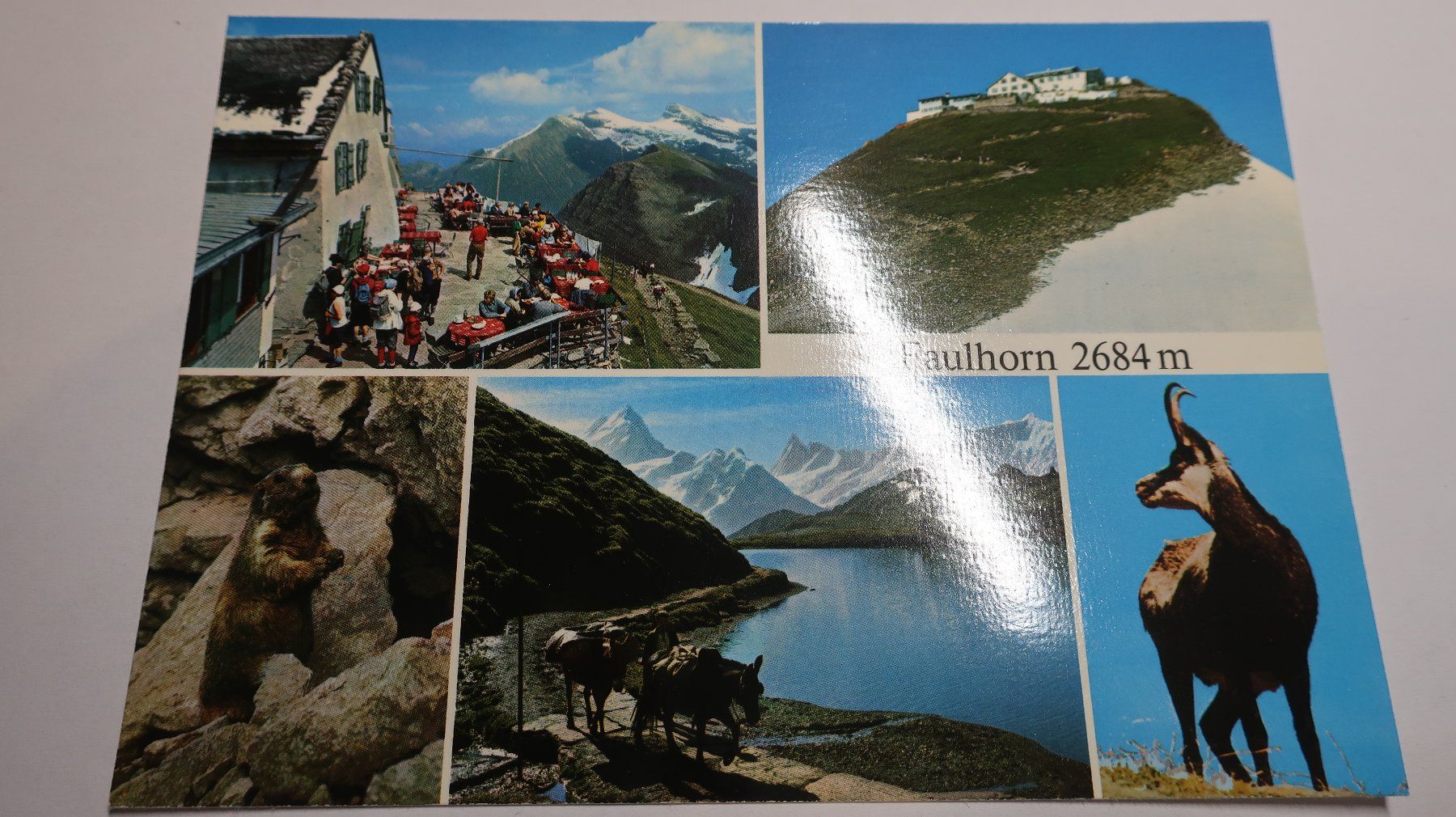 Cartes postales: Faulhorn Berghotel  Multivues – D'occasion à Cormoret par Pascalll2001 1