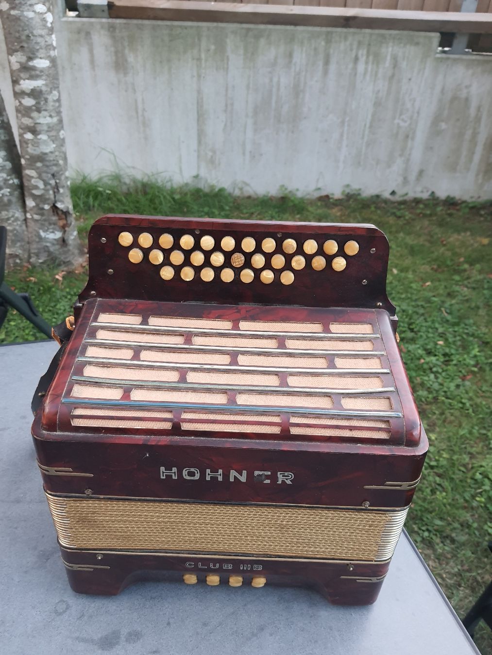 Hohner Strumenti musicali: accordéon hohner norma diatonique  – Usato da Pont-de-la-Morge venduto da Mirabelle0 1