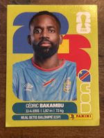 Panini WM 2026 - COD 19  Sticker - ⚽️