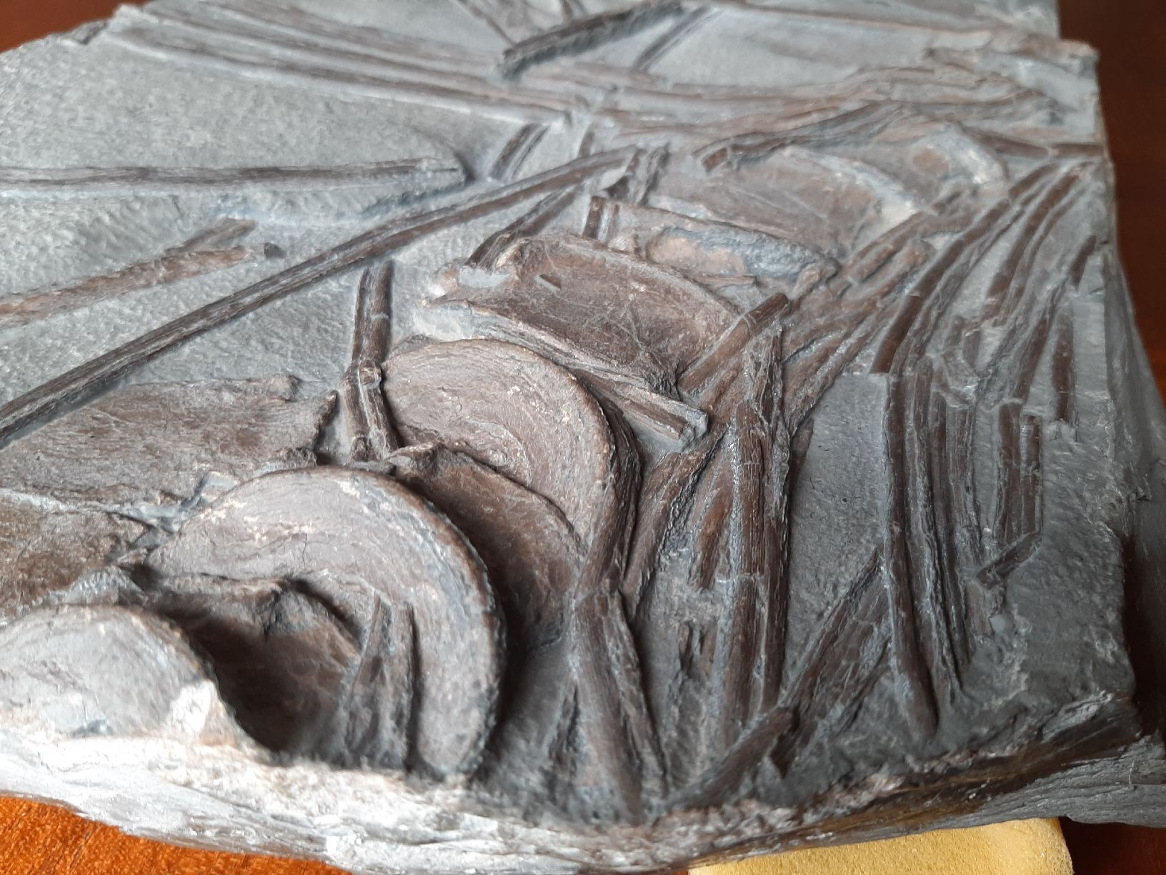 Fossili: Ichthyosaurier Wirbelsäulenstück und Rippen – Usato da Rickenbach BL venduto da Oktober68 8