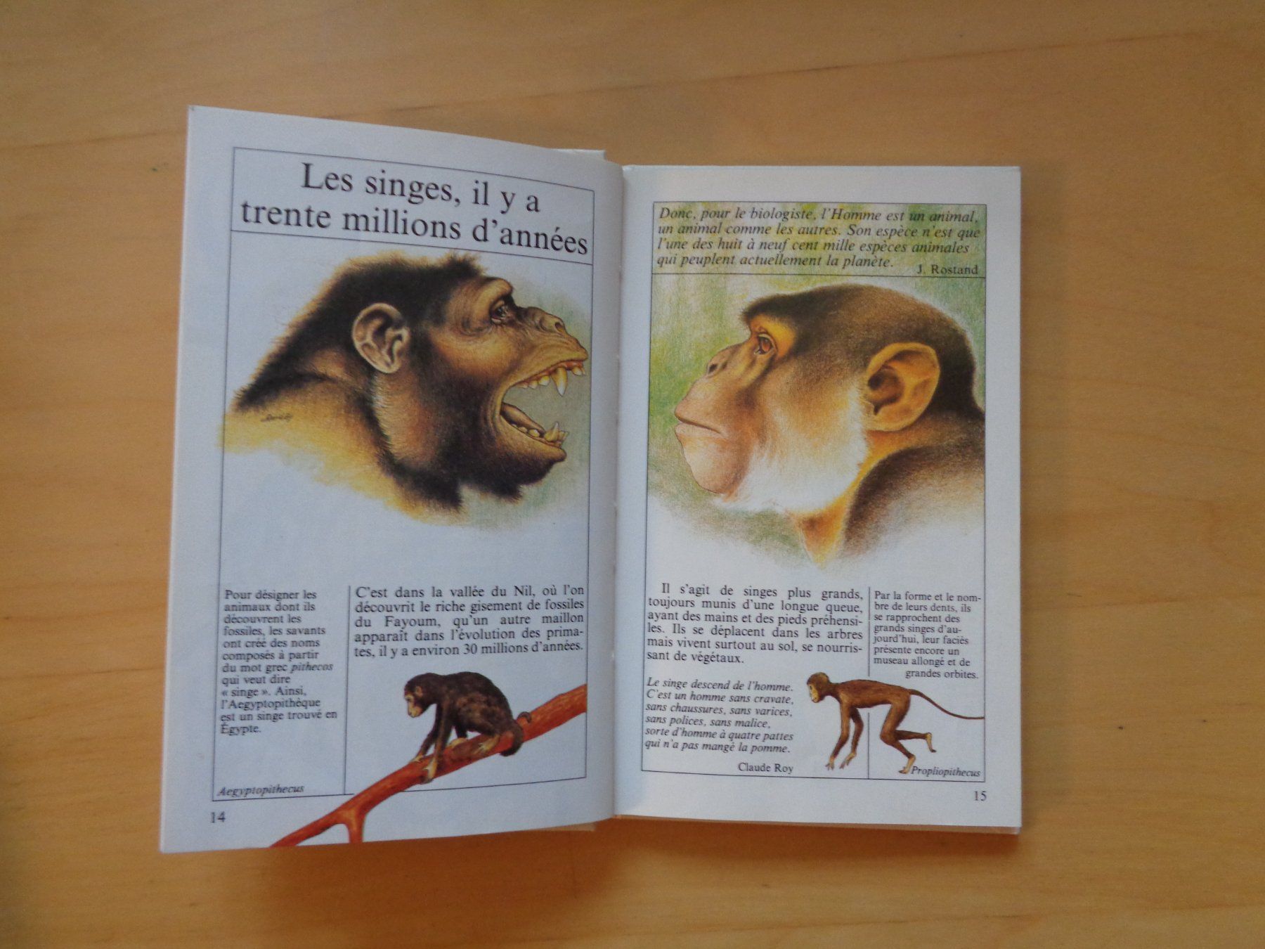 Libri: 7 x Le Livre de... Découverte Mondo – Usato da Romainmôtier venduto da Oaxaca9 5