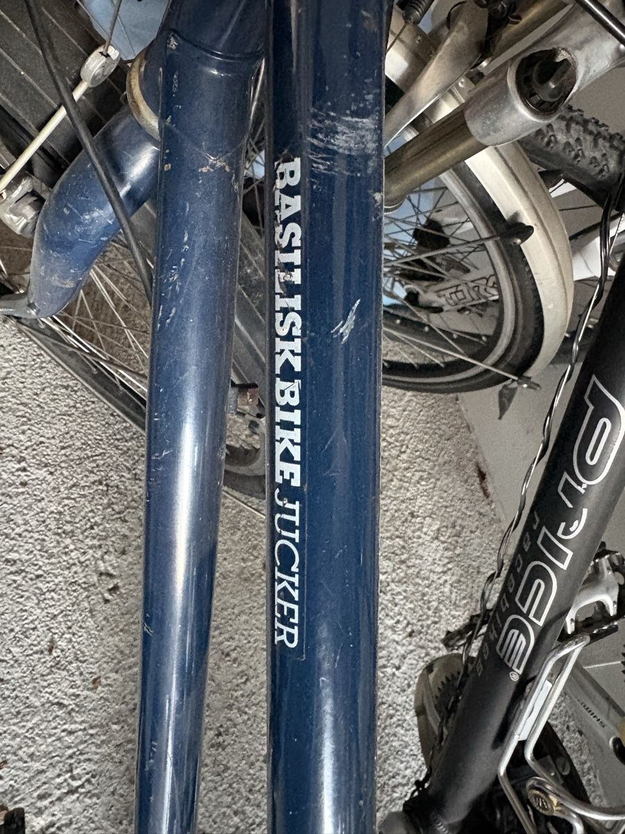 Biciclette: Fahrrad Basilisk Jucker – Usato da Richterswil venduto da Martin01016 4