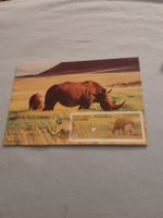 Carte postale Afrique du Sud, Rhinocéros et son petit!