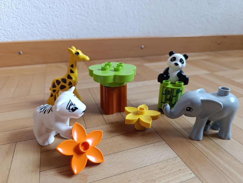 Duplo Jouets: Duplo Lego süße Tierkinder – D'occasion à Oberarth par sil_9dfs