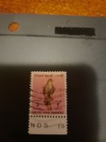 Timbre rare : Émirats arabes unis - Faucon pèlerin 3Dhs