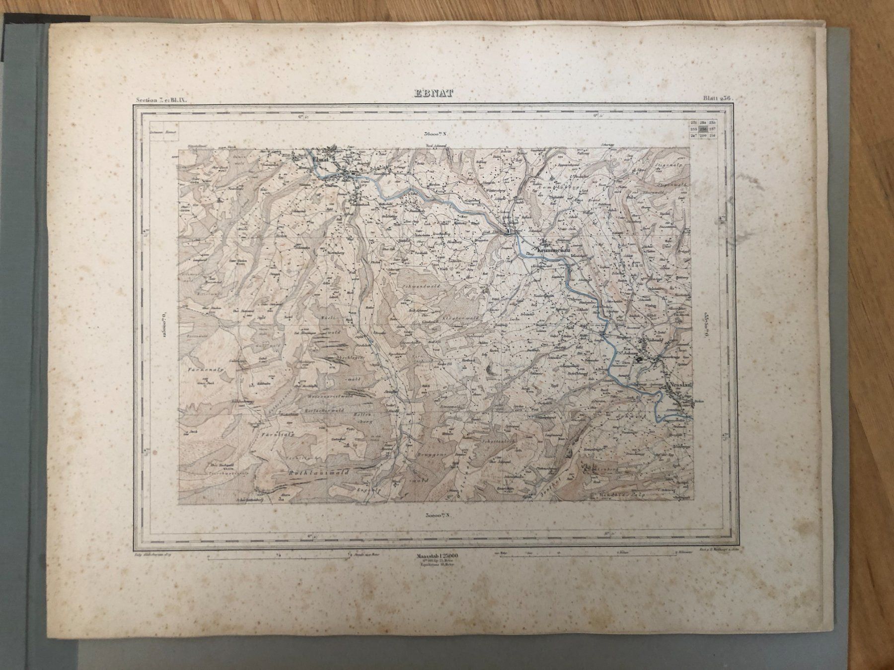 Cartine & Atlanti: Siegfriedatlas Bl. 236: Ebnat 1879 – Usato da Zürich venduto da allp