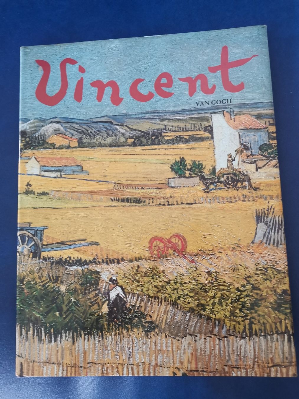 Libri: Livre illustré "Vincent van Gogh" – Usato da Courtepin venduto da Marisou2 3