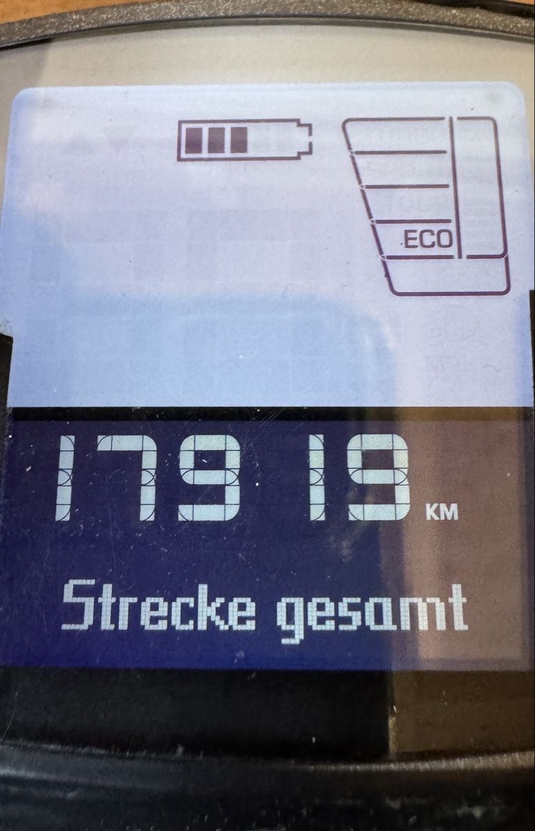 Bosch Motori: Bosch EBike Motor 45 km/h Performance Line – Usato da Oftringen venduto da Singvogel 3