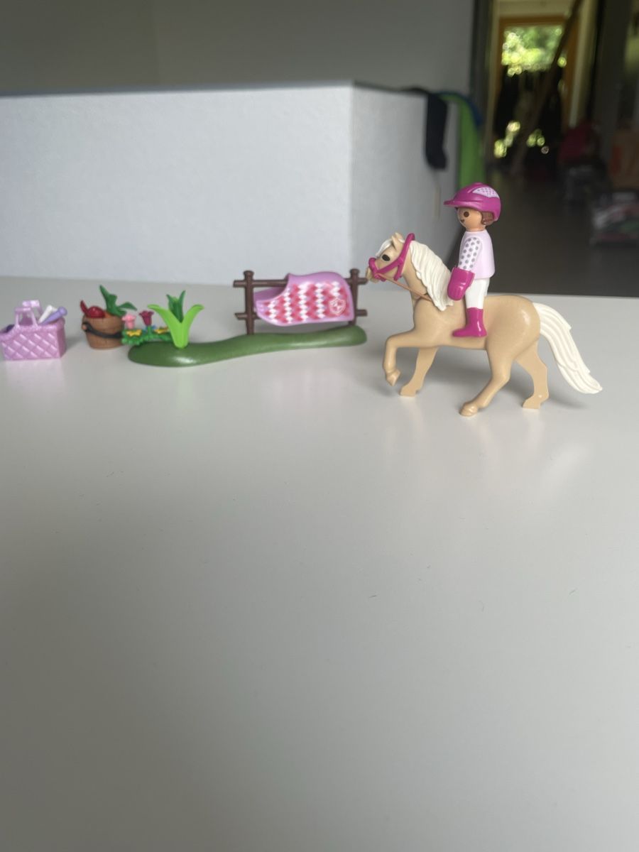 Playmobil Giocattoli: Playmobil Spirit – Usato da Montsevelier venduto da Leamnoev 1
