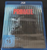 Primate