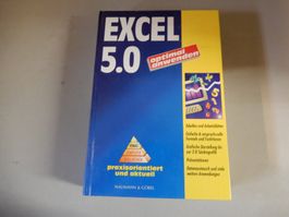 Excel 5.0 optimal anwenden - Ratgeber aus alten Zeiten