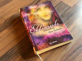 Buch *Elfenseele-Zwischen dem Nebel* Michelle Harisson 500S