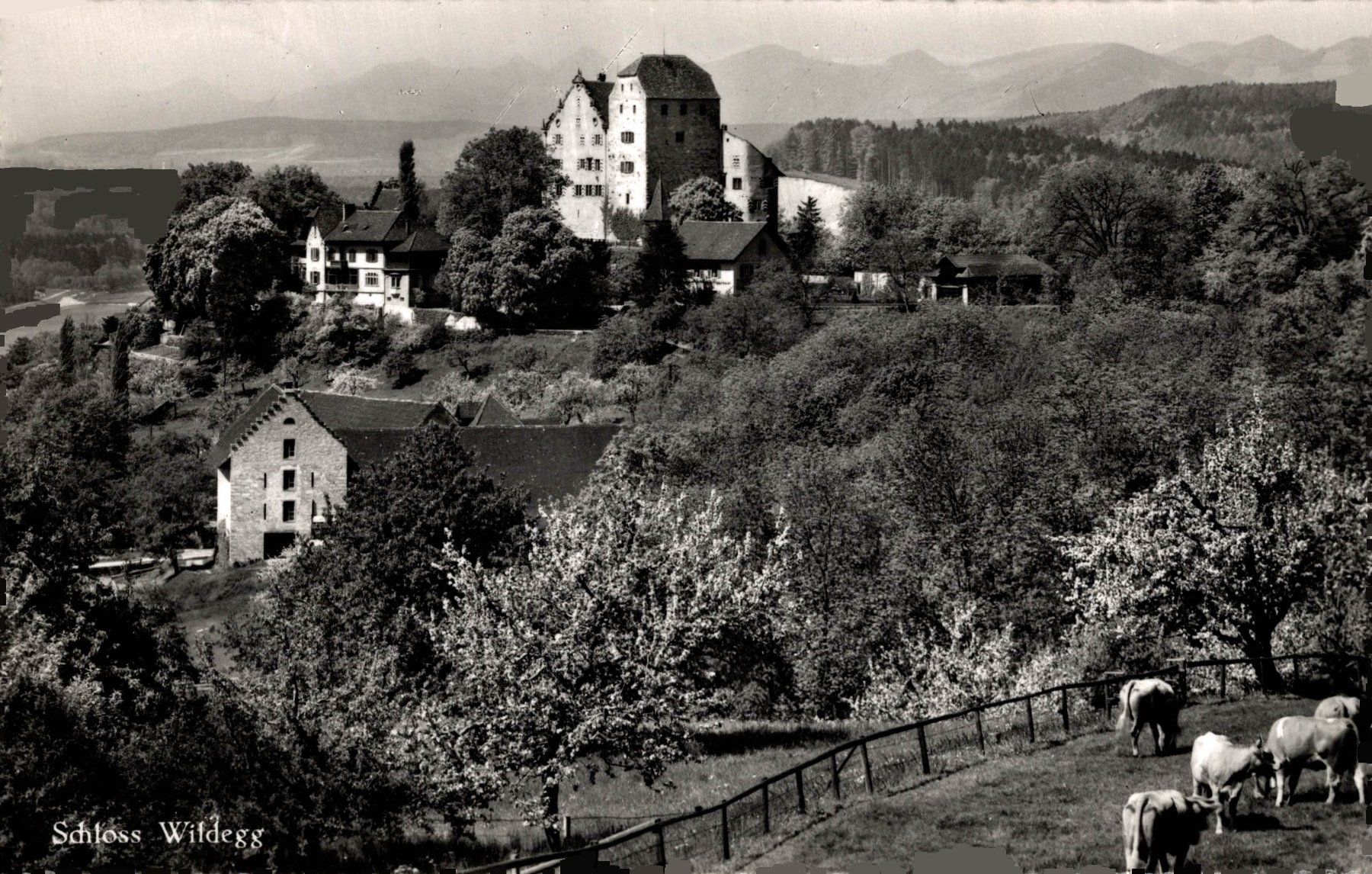 Cartoline postali: Schloss Wildegg – Usato da Bronschhofen venduto da Astore