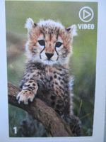 Animal Planet Mania Bilder *fast alle Bilder* ;-) Auswahl