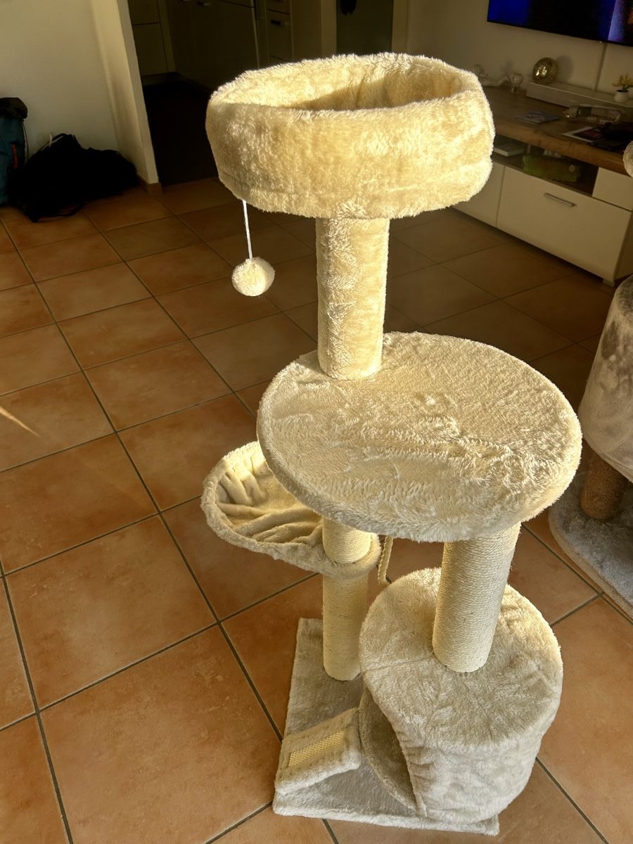 Katzenbaum - Kratzbaum: Neuer Katzenbaum – Neu (gemäss Beschreibung) aus Laufen von Petstep