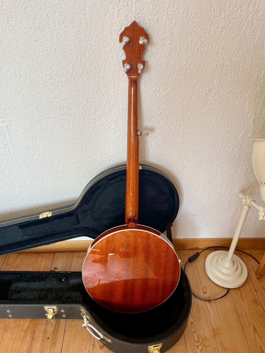 Strumenti musicali: Gold Star 5 String Banjo – Usato da Günsberg venduto da ildierfdivad 3