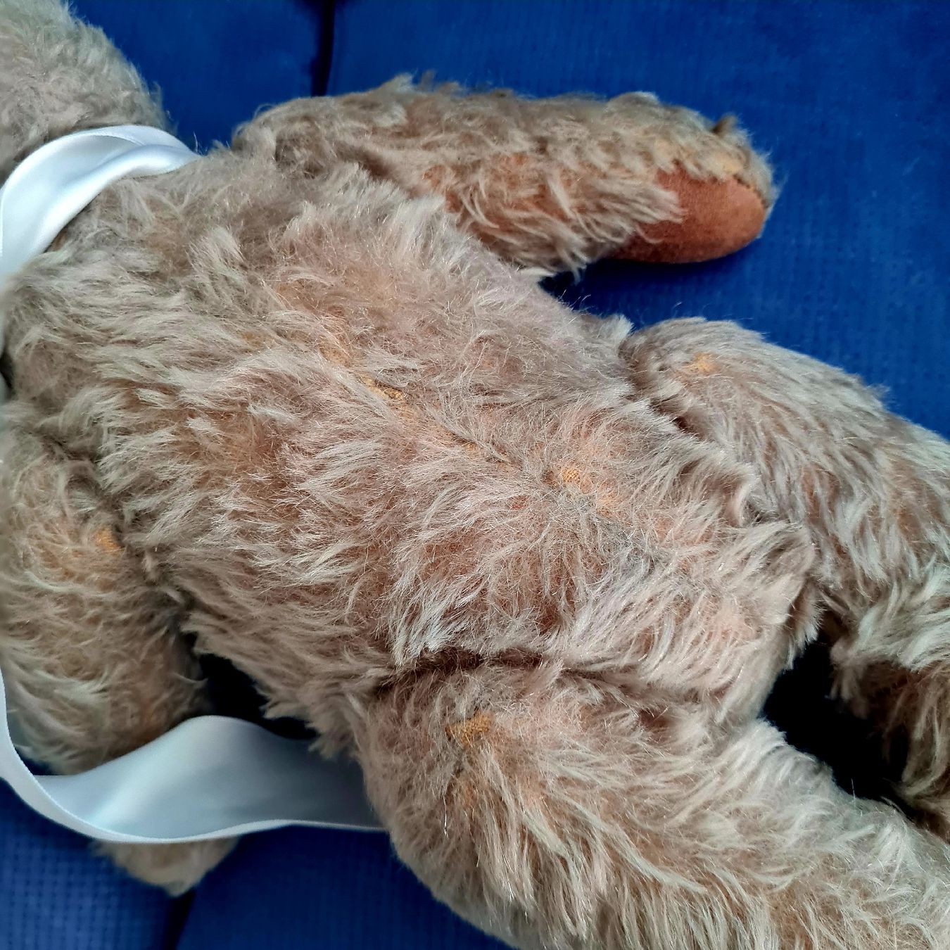 Steiff Giocattoli: STEIFF TEDDY BÄR mit dem kleinen Silberknopf ca.35cm – Usato da Siebnen venduto da annigannig 4