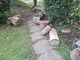 Holz