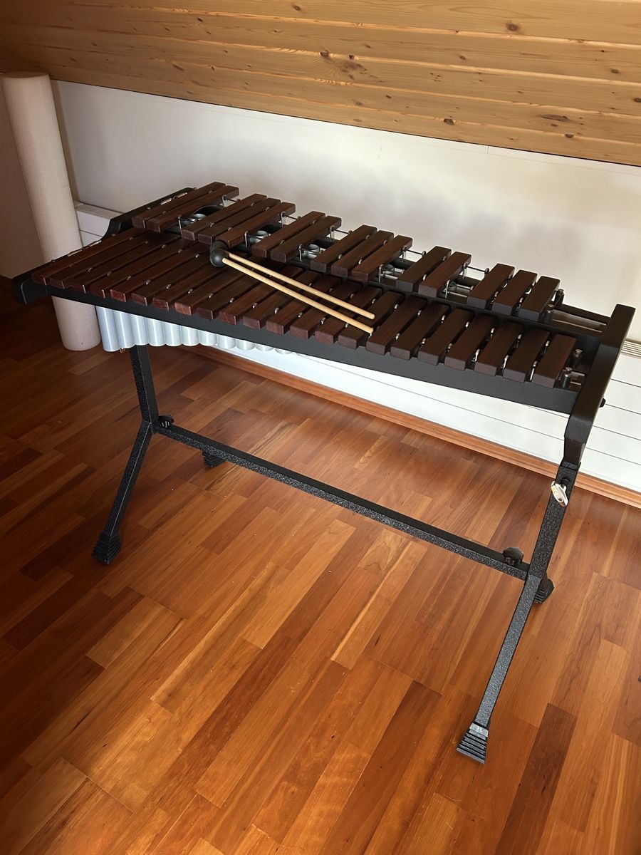 Strumenti musicali: Xylophon WHD – Usato da Henau venduto da 250910