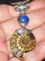 Halskette D-996 – AAA Ammonit mit Lapislazuli Perle – ca.3x6