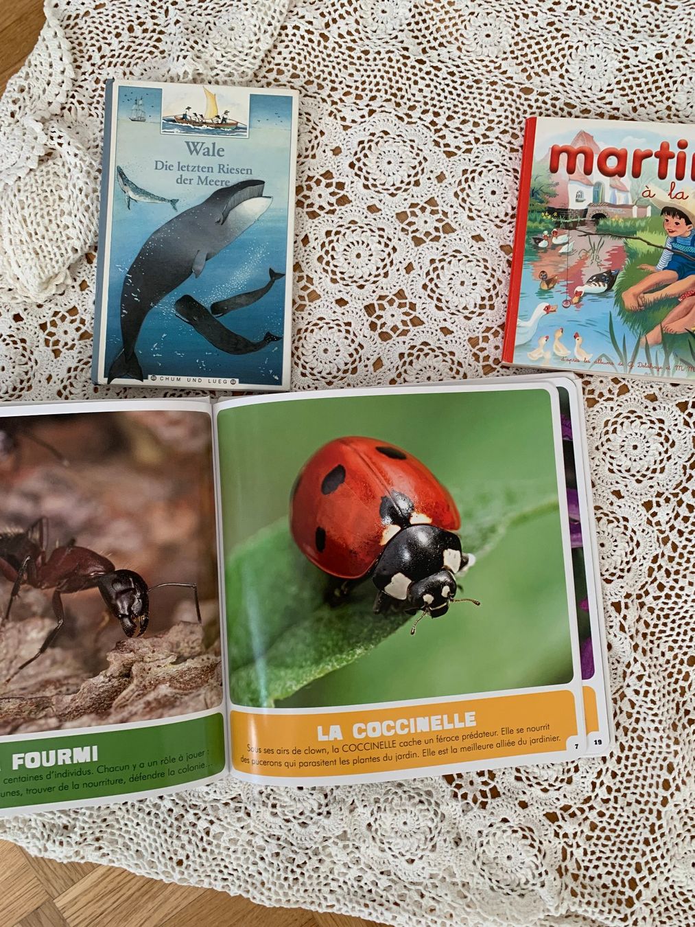 Libri: 3 schöne Kinderbücher – Usato da Moutier venduto da chDuplessy 3