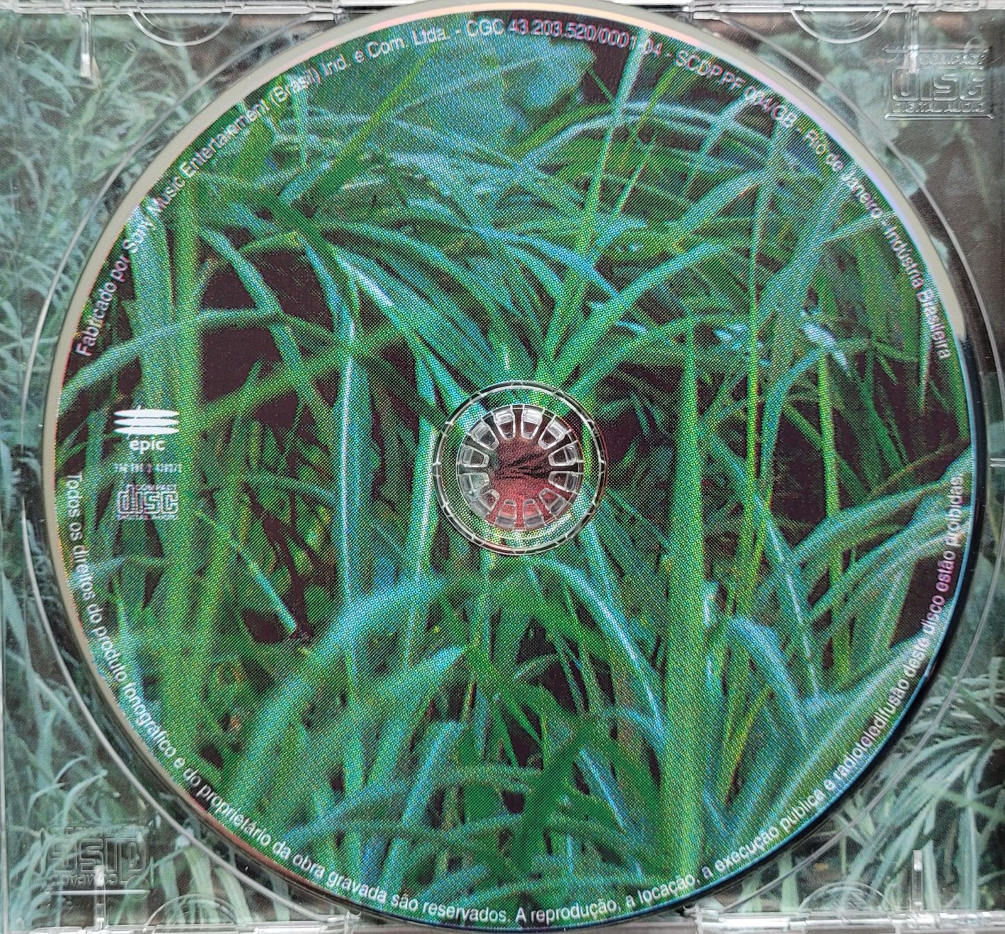 CD: Daniela Mercury - Feijão Com Arroz – Usato da Tägerwilen venduto da Schildi05 2