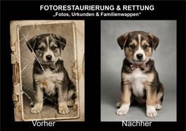 Fotorestaurierung PROFI: Wappen & Fotos rekonstruieren